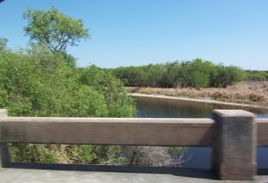 Myakka River where it flows under SR 72