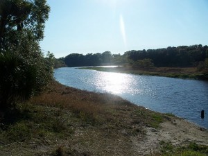 myakka river free