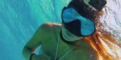 sarasota snorkeling