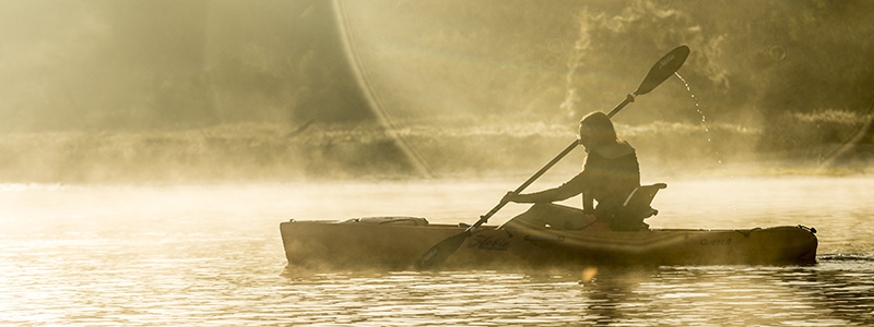 kayak rentals